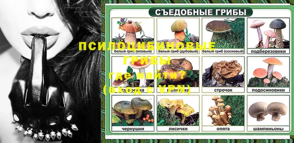 мяу мяу мука Аркадак