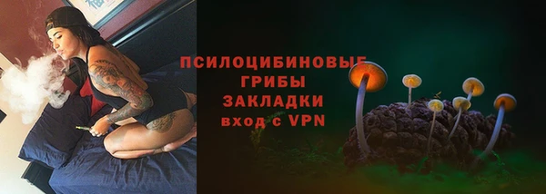мяу мяу мука Аркадак