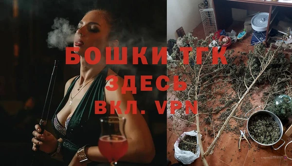 эйфоретик Сафоново