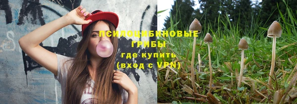 apvp Арсеньев