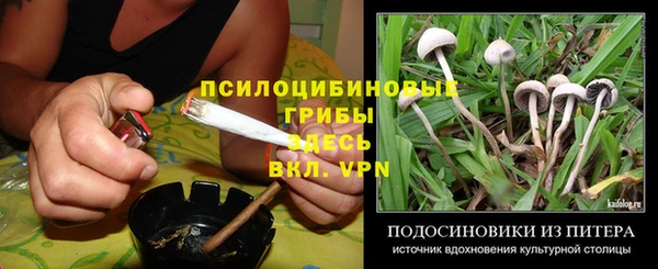 мяу мяу мука Аркадак